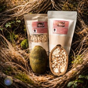 Poudre et Fruits de Baobab