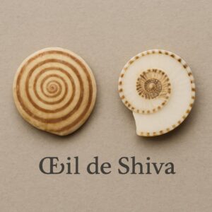 Œil de Shiva Naturel