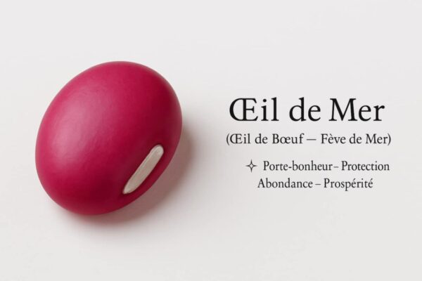 Lot Mixte Talisman : OEil de Mer + Griffe du Lion - Origine Mali ( Afrique de l‘ Ouest) – Image 3