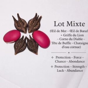 Lot Mixte Talisman : OEil de Mer + Griffe du Lion - Origine Mali ( Afrique de l‘ Ouest)
