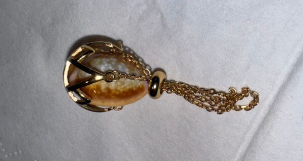 Coquillage Cauri (Monetaria moneta) / Cowrie Shell  en cage pendentif Cage en Argent Sterling 925 – Image 6