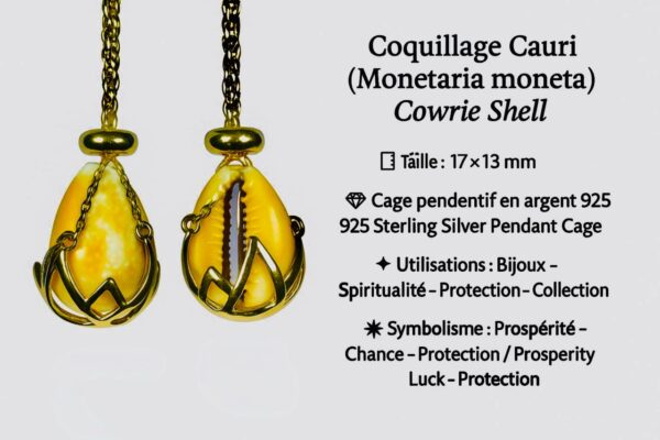Coquillage Cauri (Monetaria moneta) / Cowrie Shell  en cage pendentif Cage en Argent Sterling 925