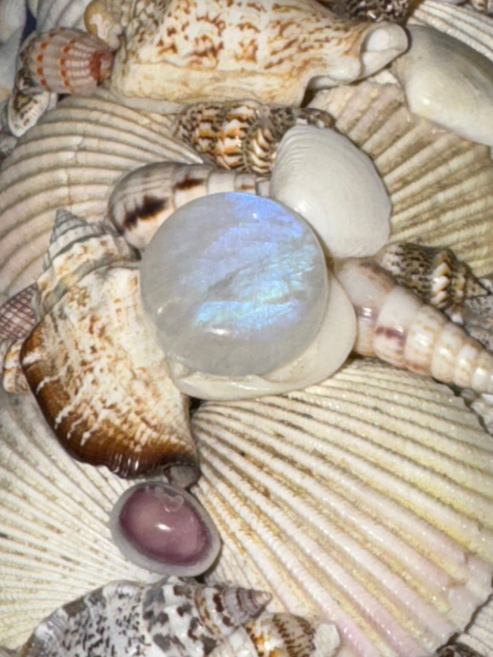 Pierre de Lune Arc-en-Ciel (20mm) AAA+